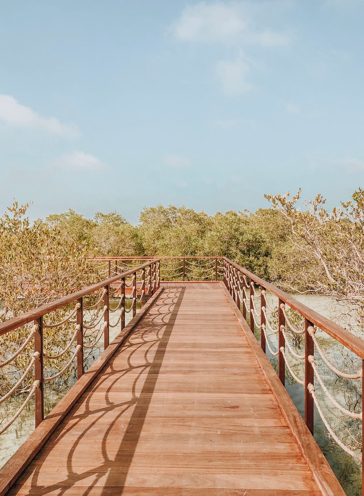 Abu Dhabi Mangrove Kayaking