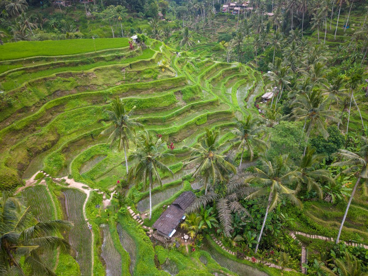 Bali – Ubud & Beach Escape